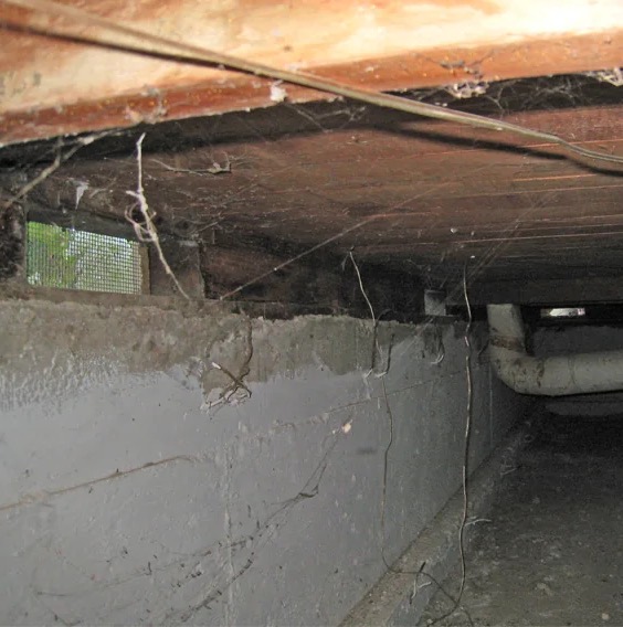 Crawlspace Water Damage Cleanup in Foothill Ranch, CA