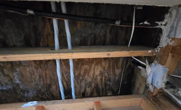 Roof Leak Repair & Water Damage Mitigation in Quail Hill, CA