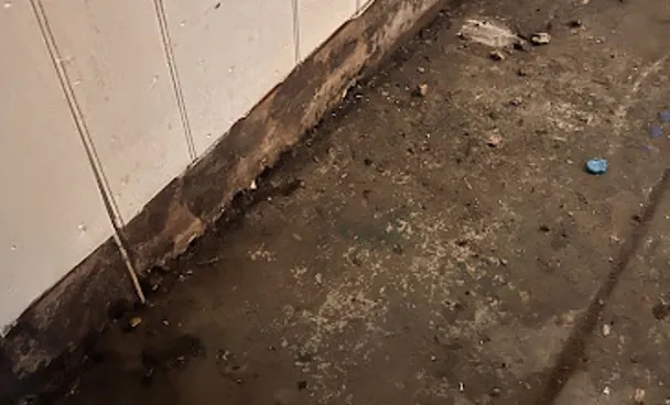 Basement Sewage Cleanup in Laguna Niguel, CA